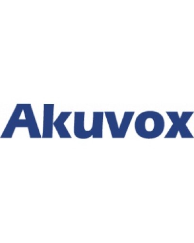 IP монитор (интерком-панель) Akuvox C313S_V2 в Воронеже Абонентские IP устройства Pintop.ru