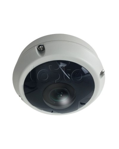 IP-камера видеонаблюдения купольная EverFocus ACE-KU89F в Воронеже IP-камеры Pintop.ru